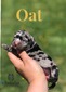 Oat